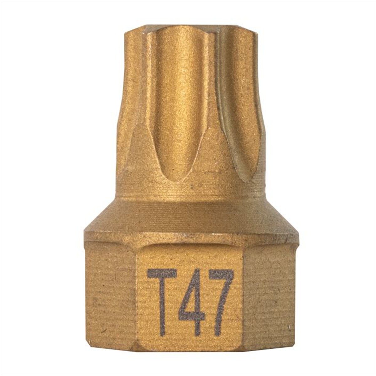 Picture of Mayhew MAY16118 0.437 in. x T47 Torx Dual Drive Bit