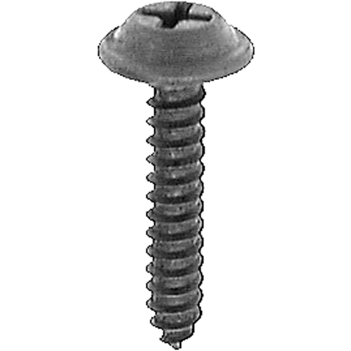 Phillips Flat Washer Head Tapping Screw - Black - No.10 x 1 - Durable Design