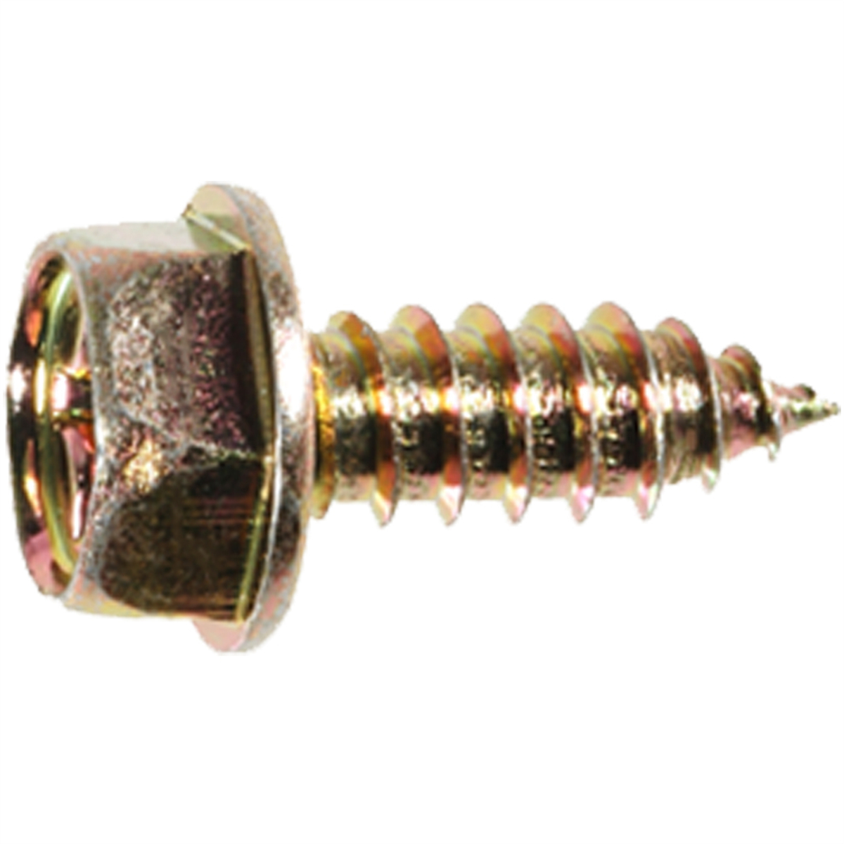 AVCAP17980 Pak M6-1.81 x 16 mm License Plate Screw