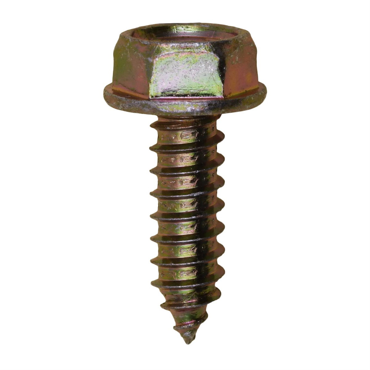 License Plate Screws - Steel - M6-1.81 x 20 mm - Pack of 10 - Durable Design