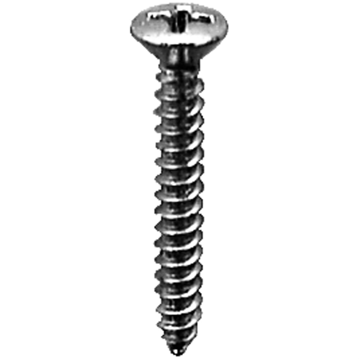 Phillips Oval Head Tapping Screw 6 x 1in Chrome, 100PK