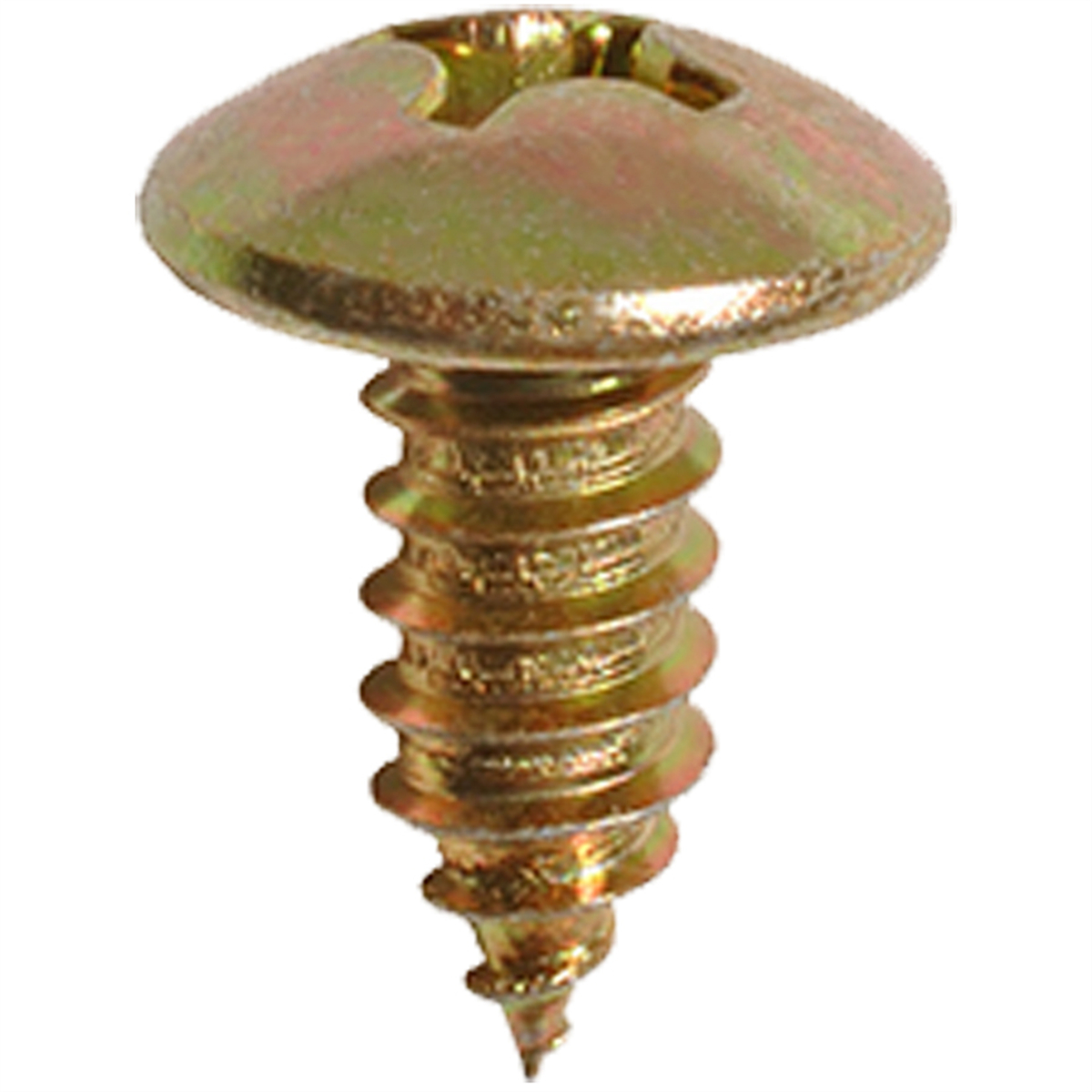 AVCAP17098 Pak M6-1.81 x 15 mm License Plate Screw