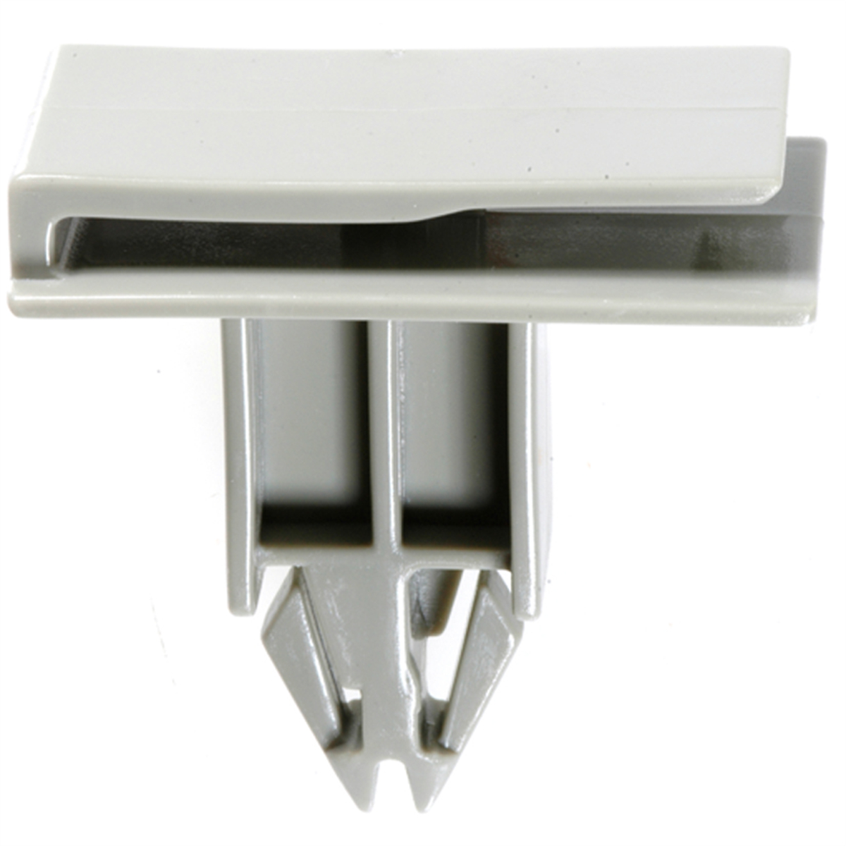 AVCAP19821 Pak GM Molding Clip