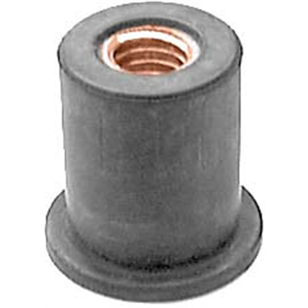 AVCAP16251 Pak Well Nuts - M6-1.0