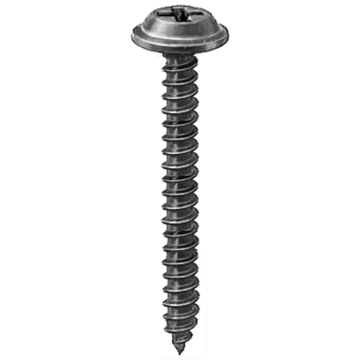 AVCAP12218 Pak No.8 x 1.5 Tapping Screws