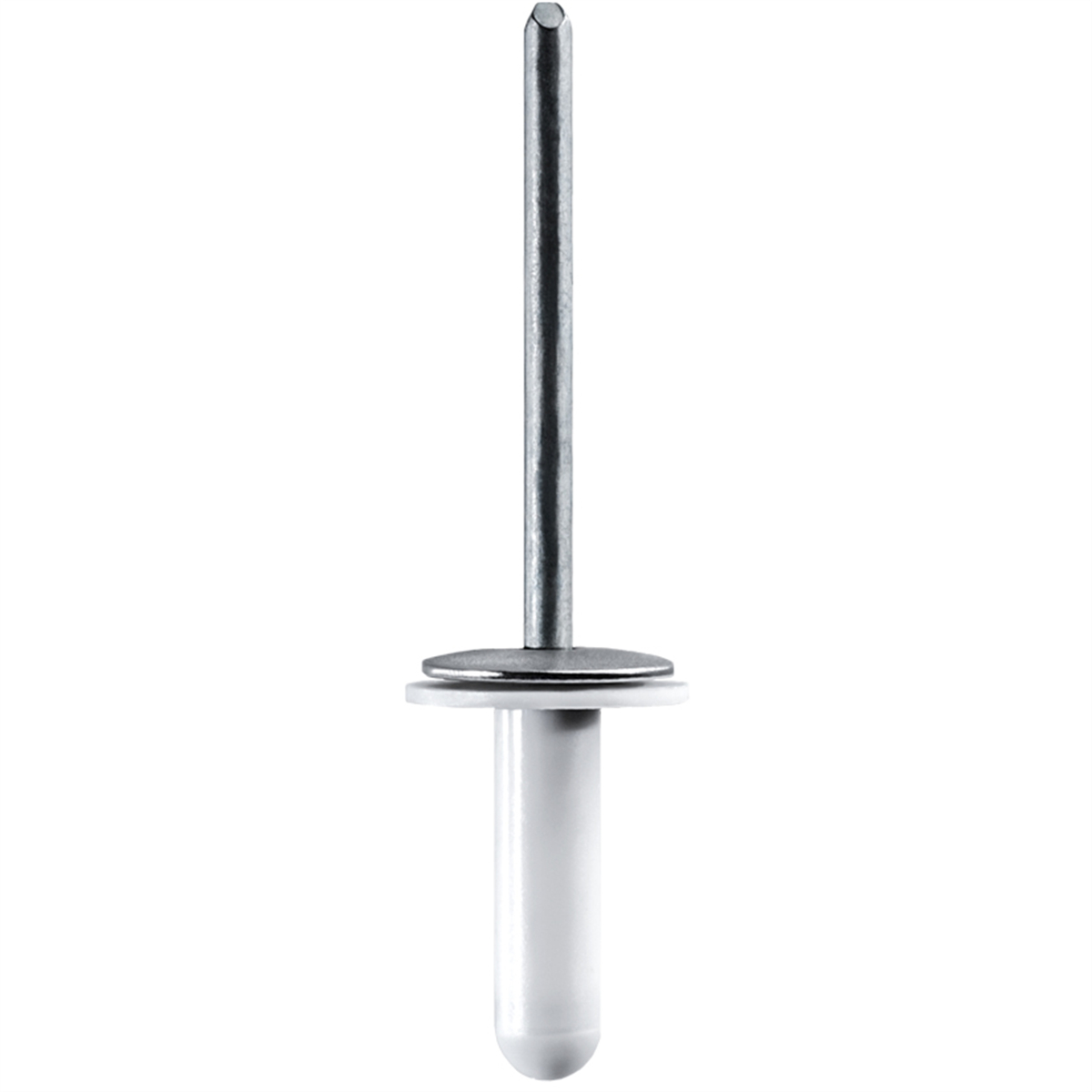 Lexus Specialty Rivet 90269-05065, 10PK