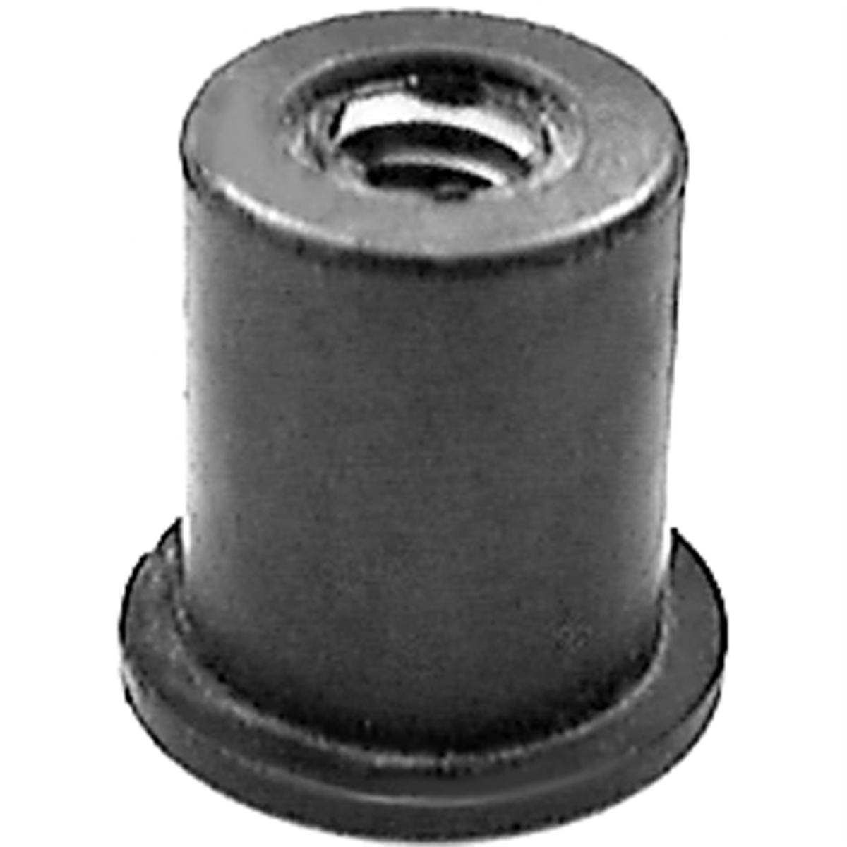 AVCAP13004 0.25-20 in. Pak Well Nut