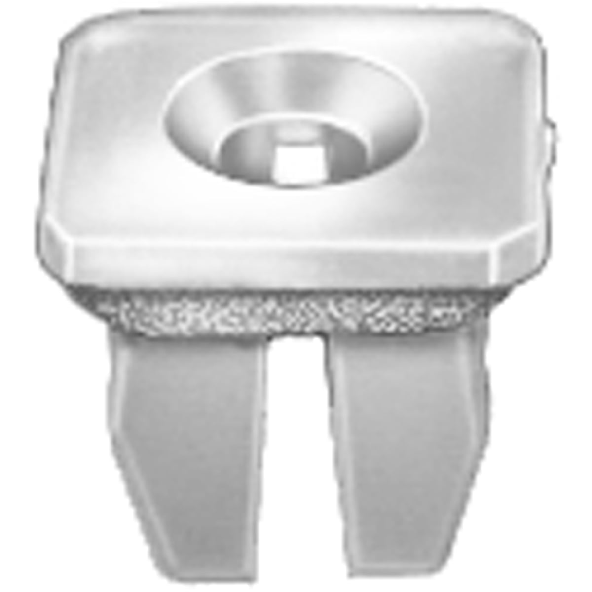AVCAP11855 Pak Nylon Nuts - No.8 Screw