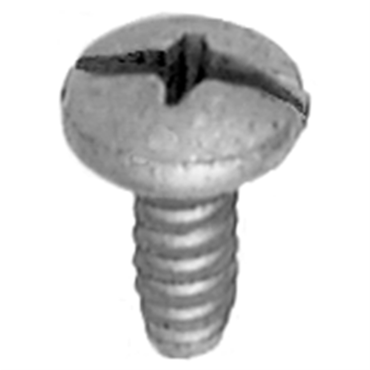 AVCAP19777 Pak M6.3-1.81 x 16 mm License Plate Screws