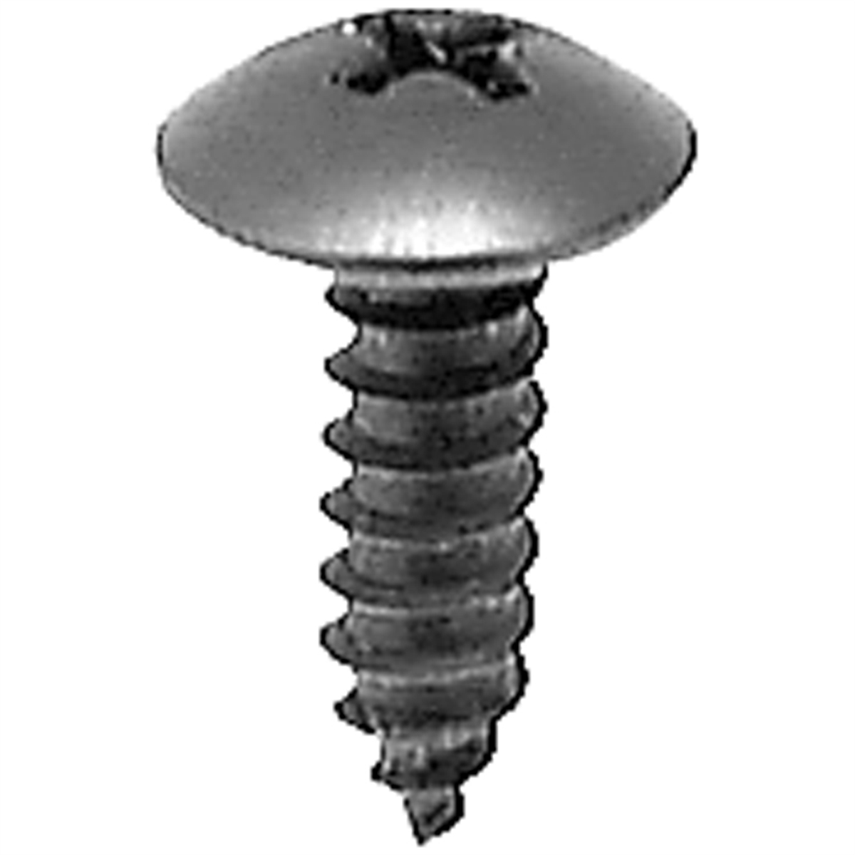 AVCAP17459 Pak M4.8-1.61 x 16 mm Tapping Screw