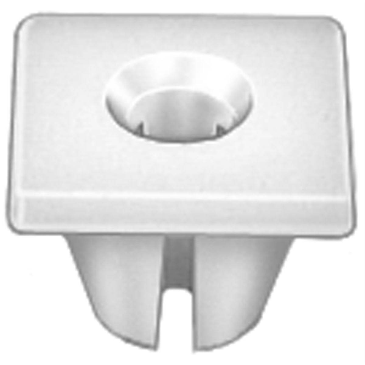 AVCAP13960 Pak Nylon Nuts - No.8 Screw Size