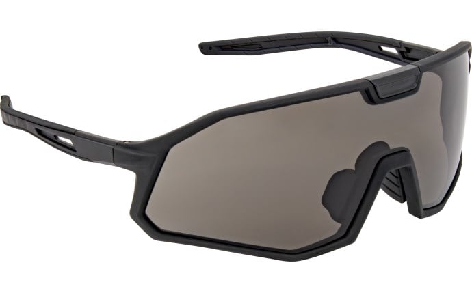 SAS52029D VX12 Safety Eyewear - Black Frame - Grey Lens