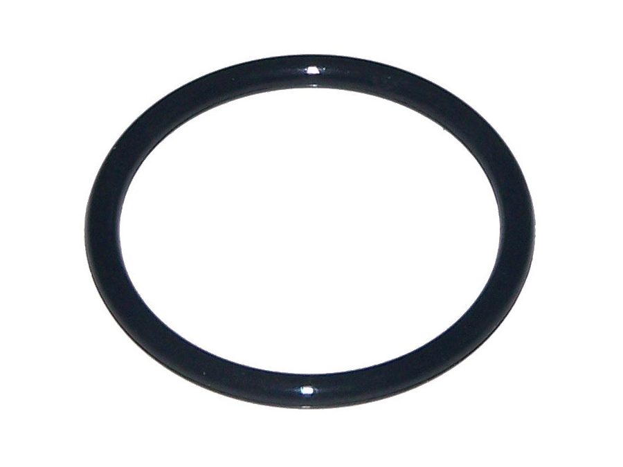 79489 O Ring In-008