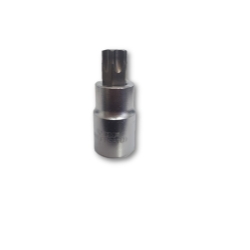 T60 Torx Bit - Satin Chrome 0.5 Square Drive Bit Holder