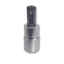 TR50 Tamper Proof Torx Bit - Satin 0.37 in. Square Drive Holder
