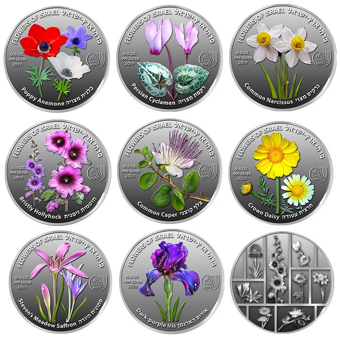 Picture of State of Israel Coins 73080500 Flowers Of Isreal Pure Medals 50 Silver Coin - Set of 8