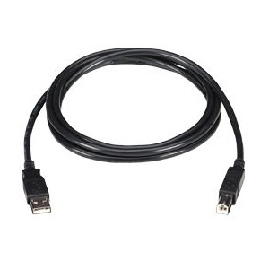 6 ft. PE Male Mini B Data Transfer Cable