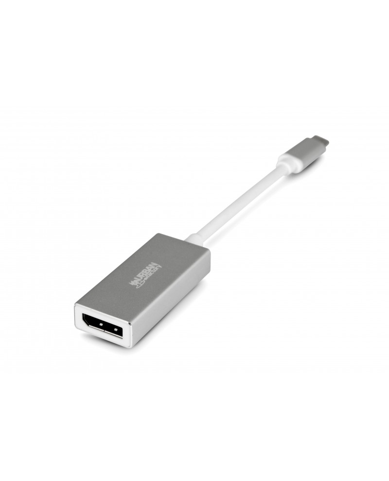 AUD01UF USB-C VERS to DisplayPort Adapter, Sideral Gray