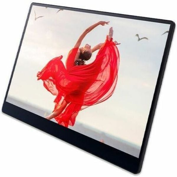 Fujitsu 514910 150BW Portable Monitor