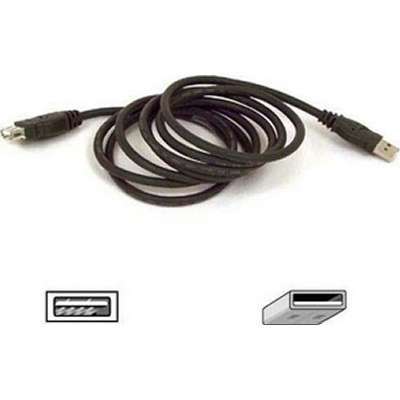 Picture of Belkin L30874 6 ft. USB Extension Cable
