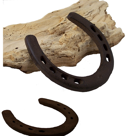 Picture of IWGAC 0170J-05208Bulk Large Horseshoe Bulk - 20 Piece
