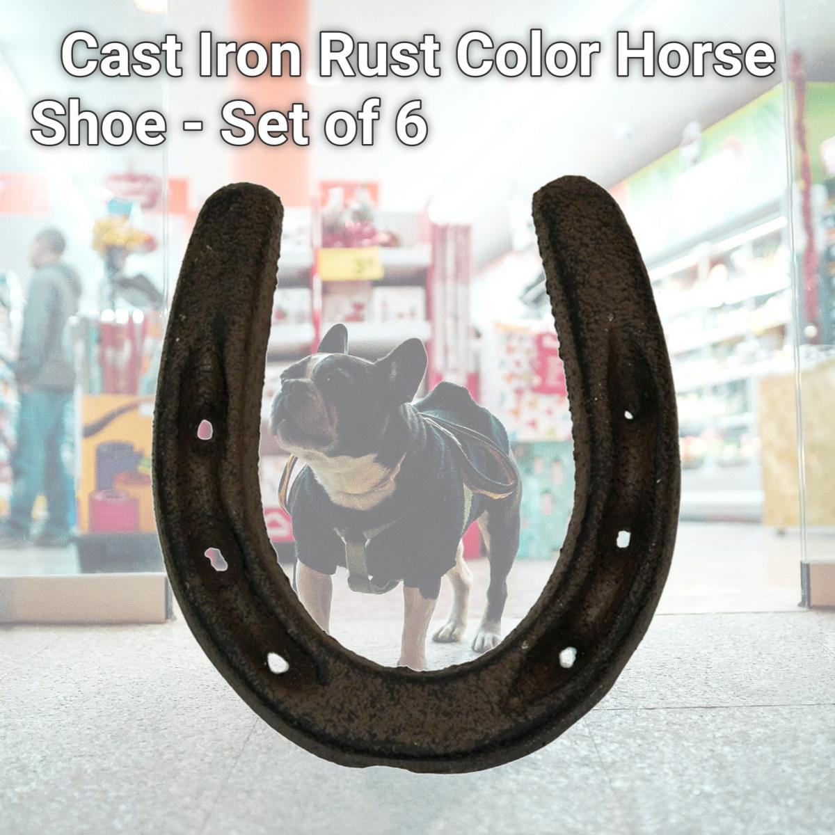 Picture of IWGAC 0170J-05209 Cast Iron Rust Color Horse Shoe - Set of 6