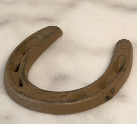 Picture of IWGAC 0170J-05209-20 Small horseshoe Set - 20 Piece