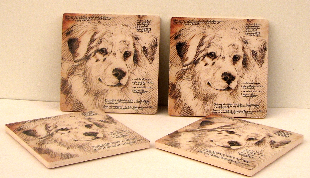 Picture of IWGAC 0183-36499 Australian Shepard Coaster - Set of 4