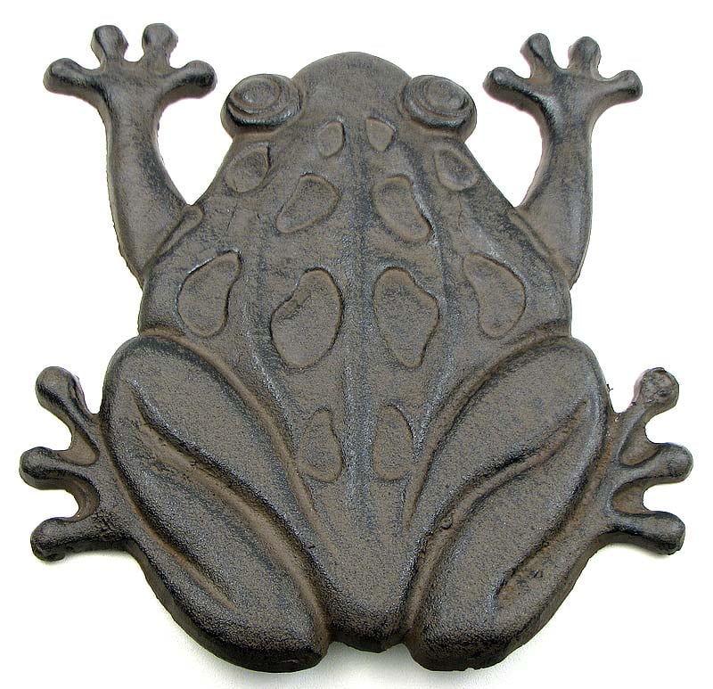 Frog Stepping Stone