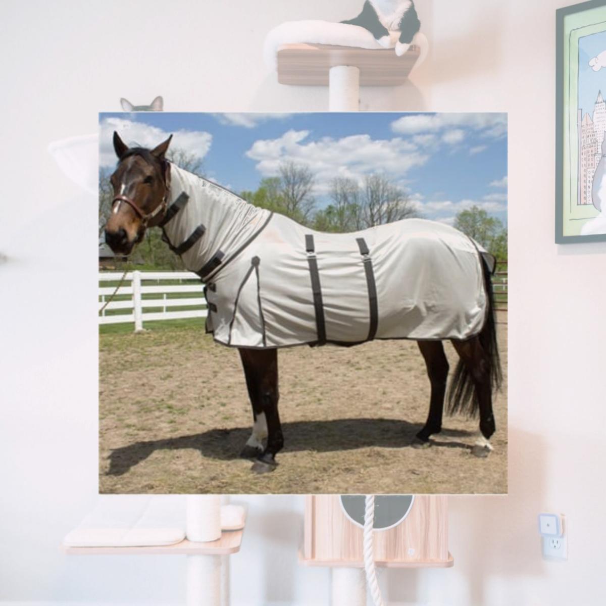 Picture of Jacks 4302-76 76 in. Shoobugs Fly Sheet