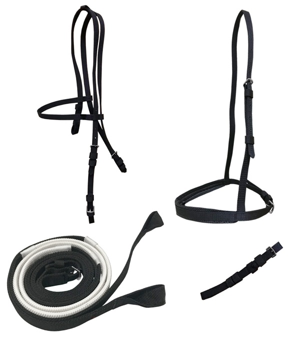 Picture of Jacks 4347-WH Ultra Race Bridle Set with Loop Reins - White