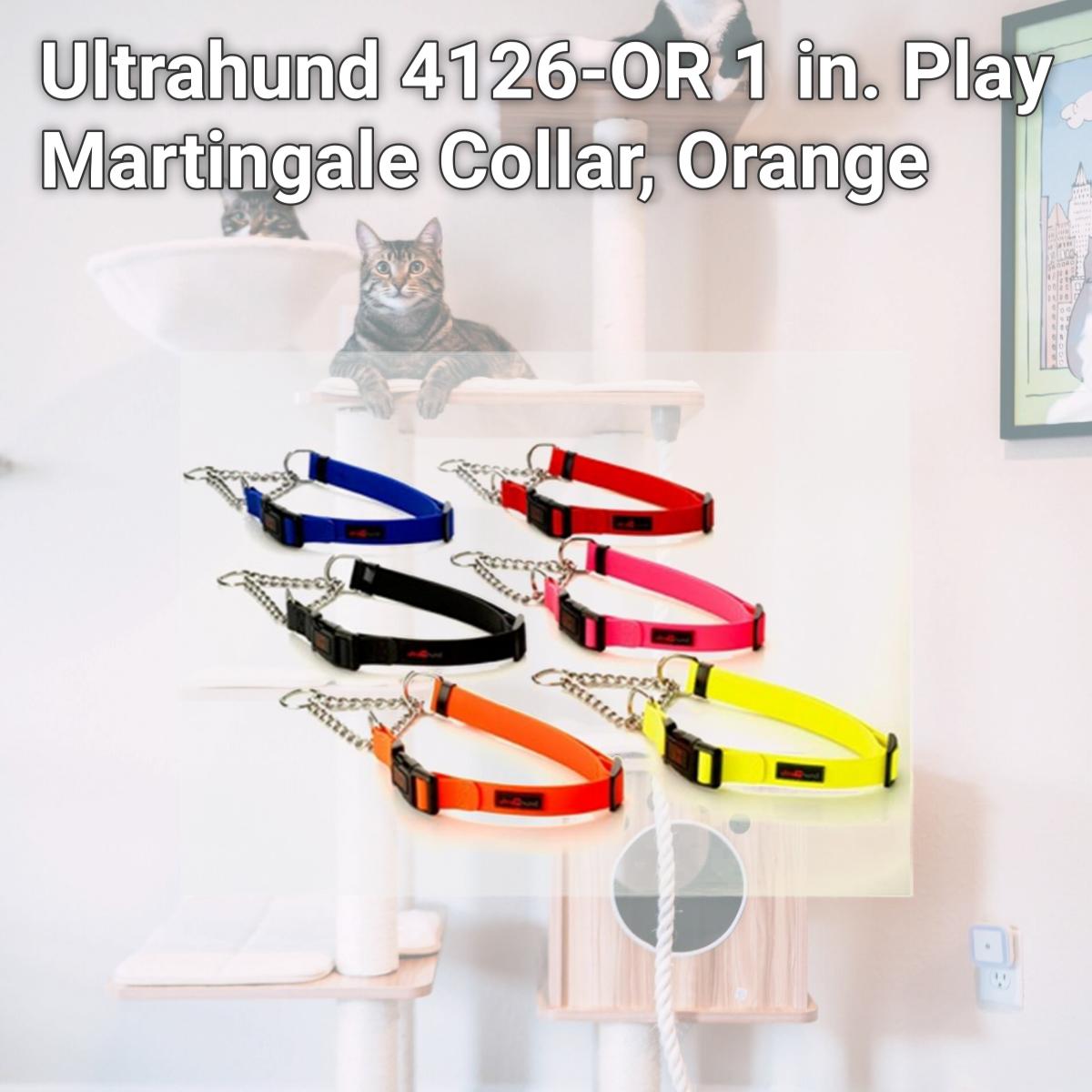 Picture of Ultrahund 4126-OR 1 in. Play Martingale Collar, Orange