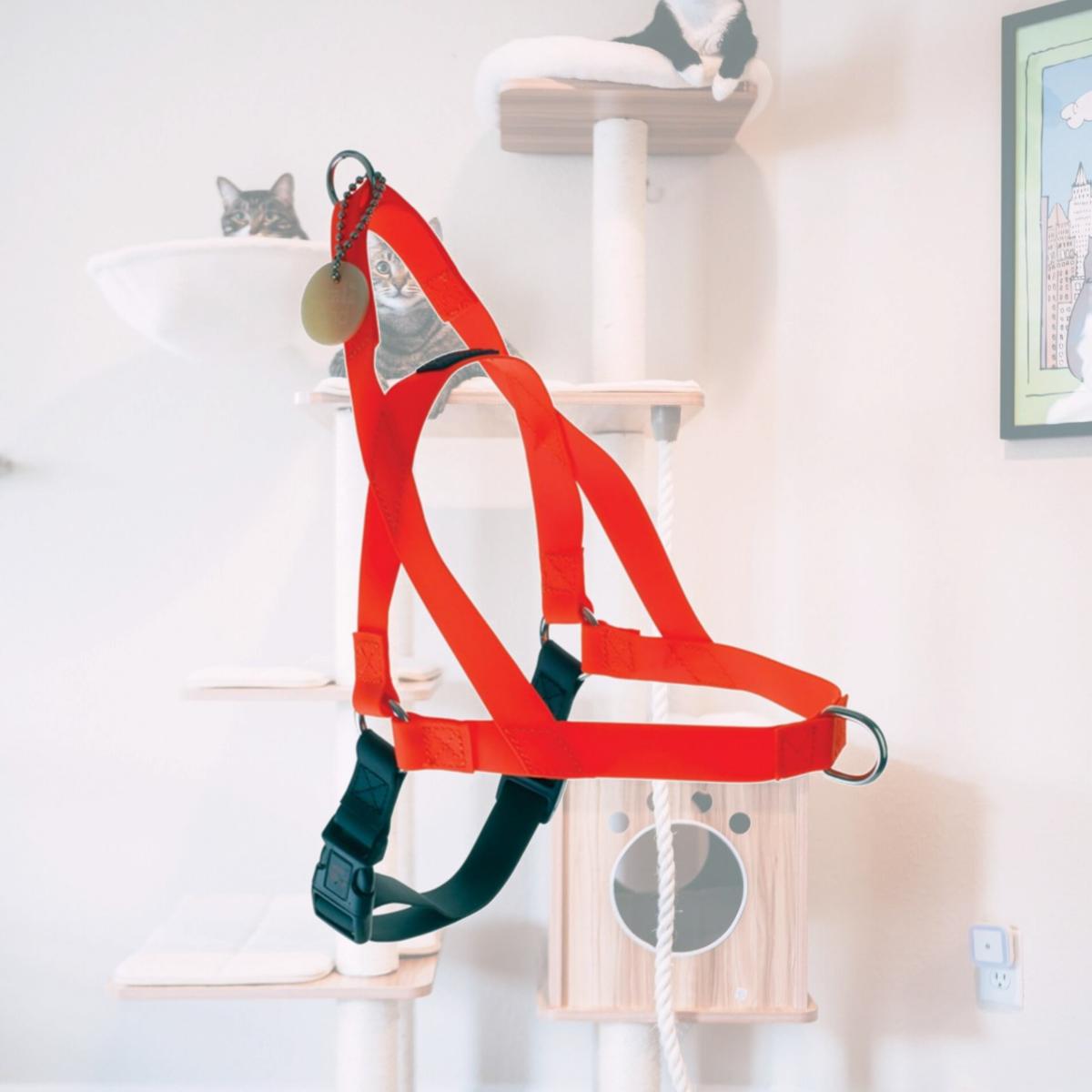 Picture of Ultrahund 4136-OR-S Small Freedom Harness, Orange