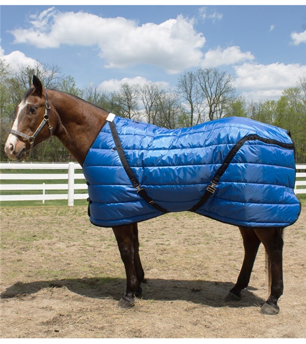 Picture of Jacks 10522-NV-GY-66 66 in. Quilted Blanket & Rug for Horse&#44; Navy & Gray
