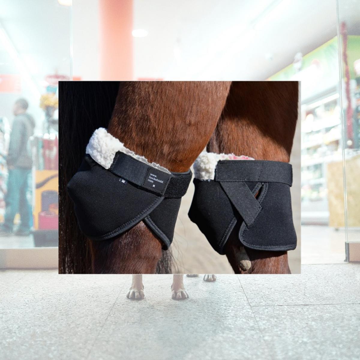 Picture of Click Horse Products 4275-S-M Click Hock Shields Ultra - Small & Medium