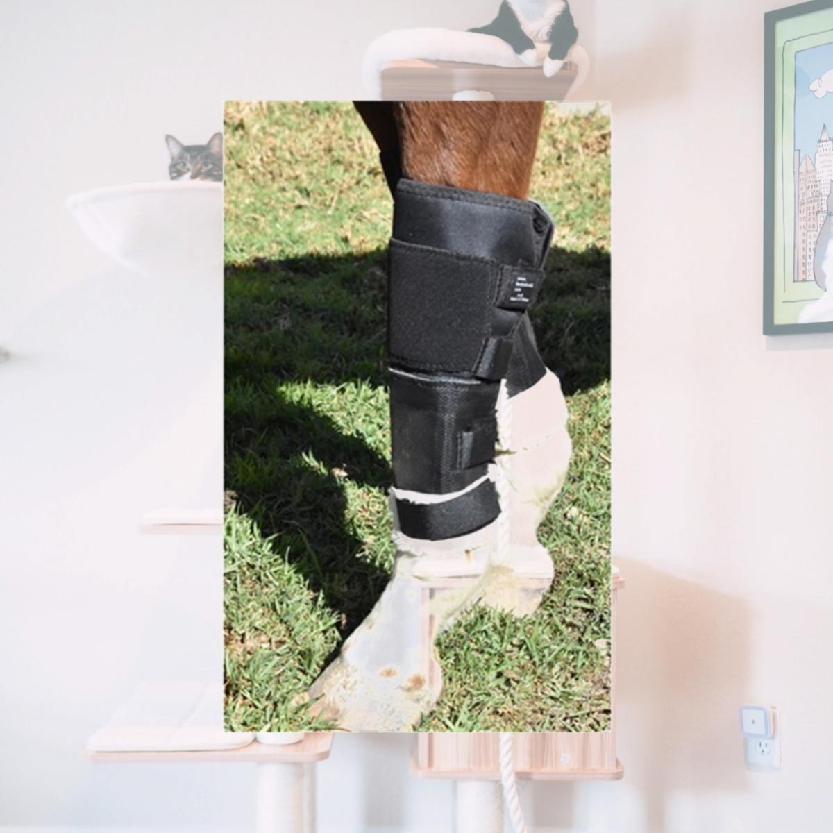 Picture of Click Horse Products 4277 Knee Shields for Horse