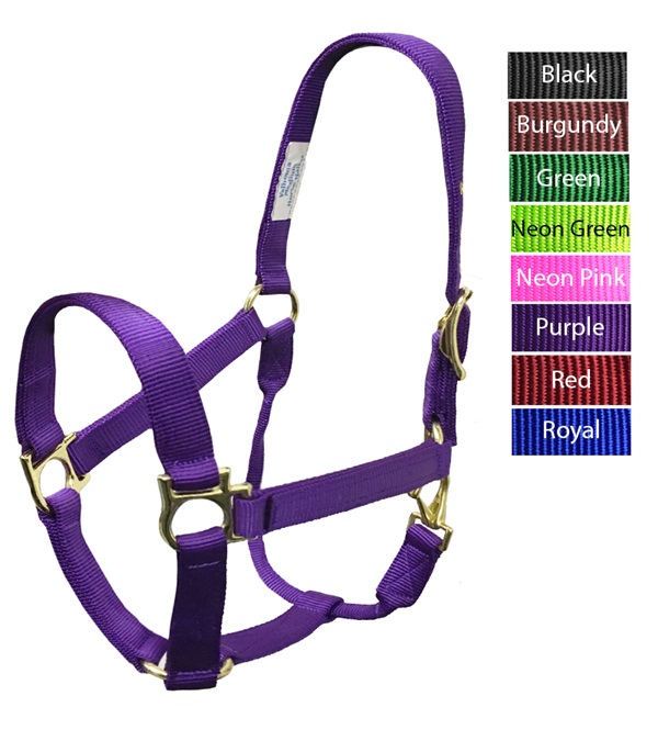 Picture of Valhoma 3492-PU-L 1100 - 1500 lbs QS Halter&#44; Purple - Large