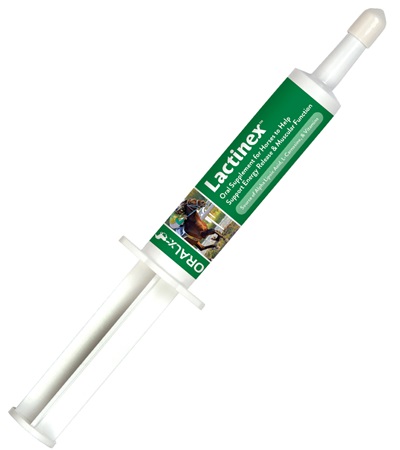 Picture of Oralx 1870 32 cc Lactinex for Nutritional Support