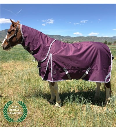 Picture of Jacks 4298-82 82 in. Boreas Purple Turnout Blanket 1200 Denier with 350 gm Lining & Reflective Stripes