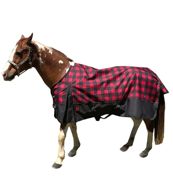 Picture of Jacks 4301-RB-72 72 in. Kratos Turnout Blanket 1200 Denier with 350 gm Lining, Red Bufalo