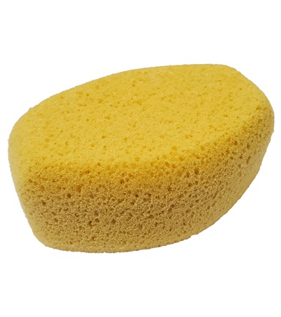10316 Oval Tack Sponge