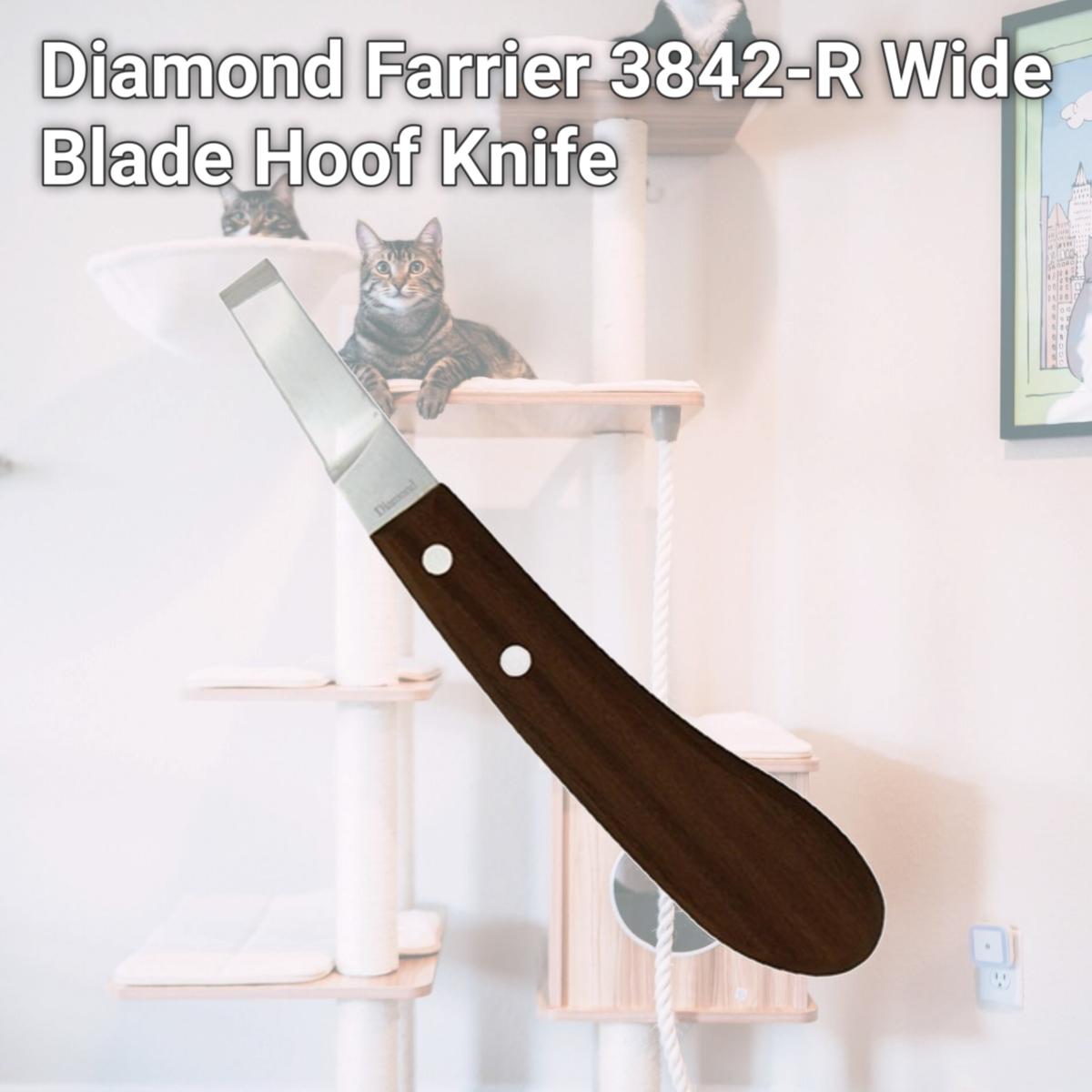 Picture of Diamond Farrier 3842-R Wide Blade Hoof Knife