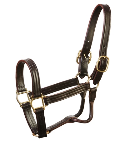 Picture of Jacks 5100-H 1.12 in. Leather Track Halter&#44; Horse