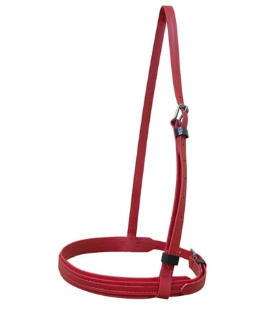 Picture of Jacks 4336-WH Thoroughbred Beta Caveson, White