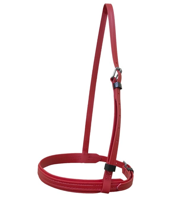 Picture of Jacks 4336-YE Thoroughbred Beta Caveson, Yellow