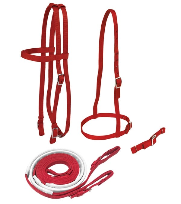 Picture of Jacks 4346-PU Race Bridle Set with Buckle Reins, Purple