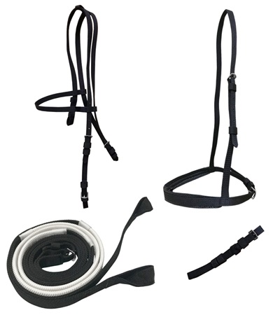 Picture of Jacks 4347-RY Ultra Race Bridle Set with Loop Reins, Royal