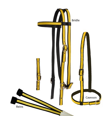 Picture of Jacks 453-BK-RY Two Tone Race Bridle Set&#44; Black & Royal