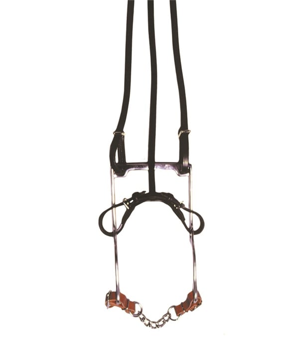 5958 Frank O-Mara Bit with Strap