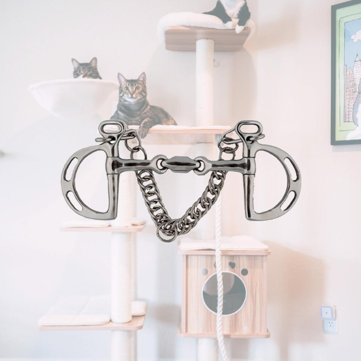 Picture of Jacks 20149-5-1-2 Elliptical Link Uxeter Kimberwick Bit - 5.50 in.